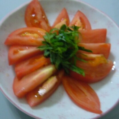 トマトも大葉も大好き♪(*^-^*)
簡単なのに　さっぱりとして美味しかった♪
トマトと大葉、相性イイのね♪　また作ります！(^_-)-☆